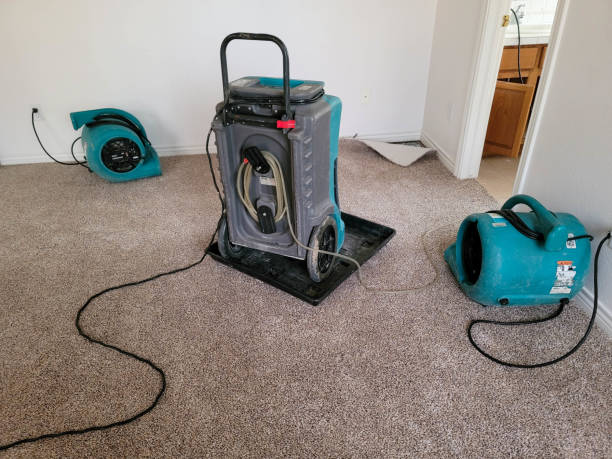 Best Water damage restoration insurance claims  in San Felipe, TX