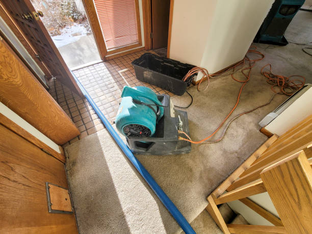Water damage restoration experts in TX