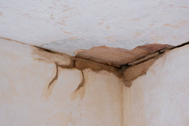 Best Emergency water damage restoration  in San Felipe, TX