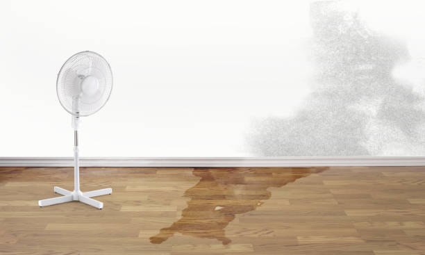 Best Commercial water damage restoration  in San Felipe, TX