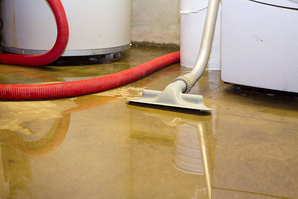 Best Flood restoration services  in San Felipe, TX