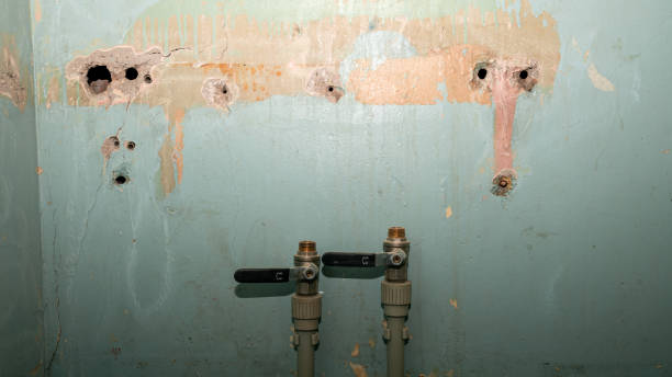 Best Fire Damage Restoration  in San Felipe, TX